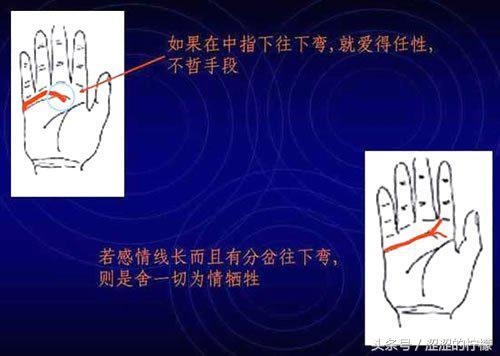 免费拍照看手相算命在线,AI测试手相