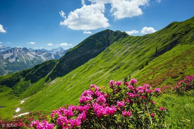 八卦顺口溜大全，八卦八个字怎么读