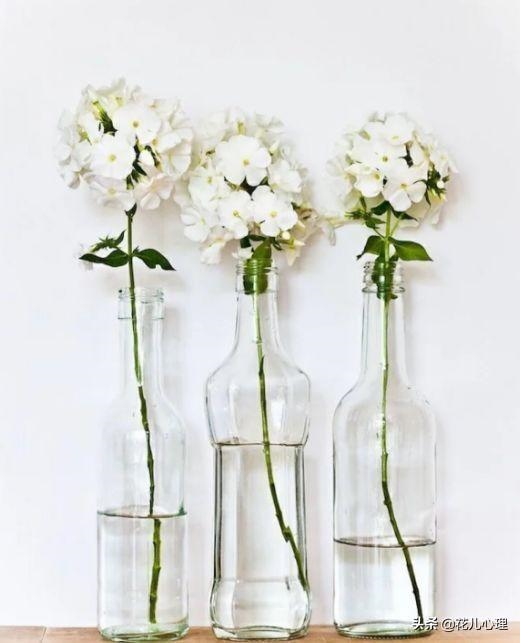 一生会经历几次婚姻，测婚姻有几次