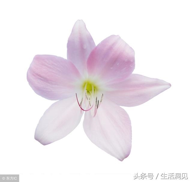 怎么看命好不好，怎么查自己的面相