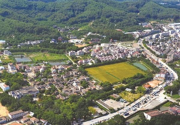 戊午日女命大人物，戊午日生于个月详解