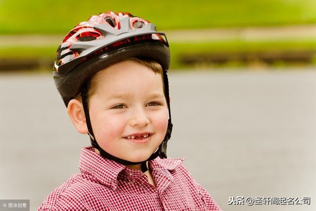 猪年男宝宝名字，生肖属猪人的取名宜用之字