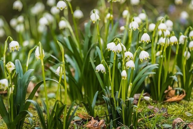 022年上半年运势,2022年十二星座每月运势"