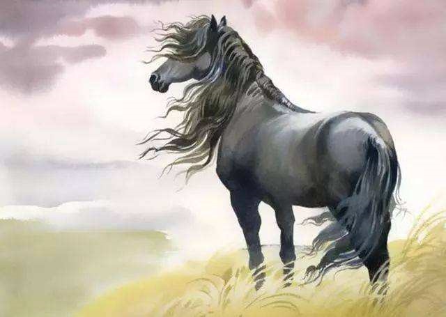 属马几点出生最苦命，1966年属马住几楼好