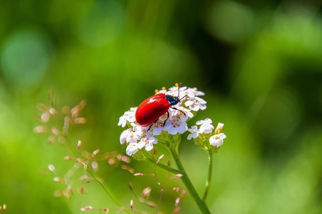 022年属狗女财运,属狗的在2022年怎么样"