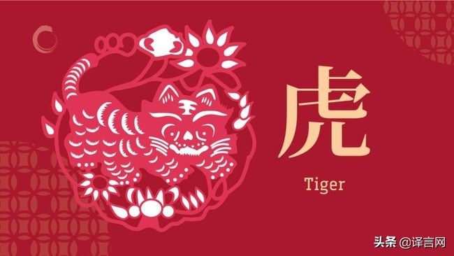 7年兔和95年猪，87年兔和95年猪婚姻配吗"