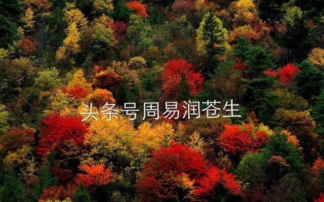 日柱看婚姻绝招,通过日柱看婚姻