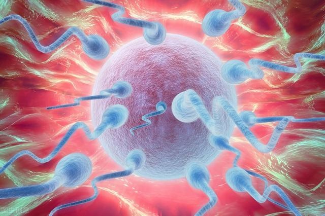 022年最准清宫图，想生虎宝宝几月备孕"