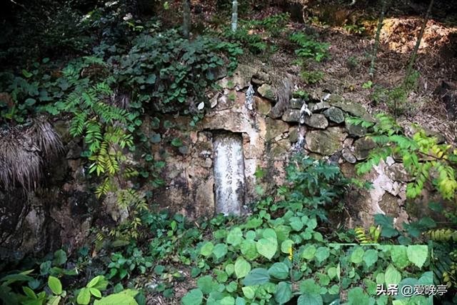 清嘉庆庚辰年是哪一年，庚辰是什么生肖