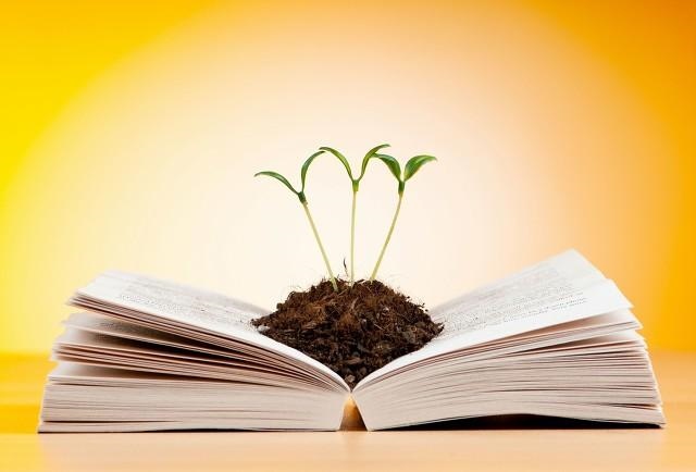 牛宝宝正月出生五行缺什么，牛宝宝取名大全2022 款