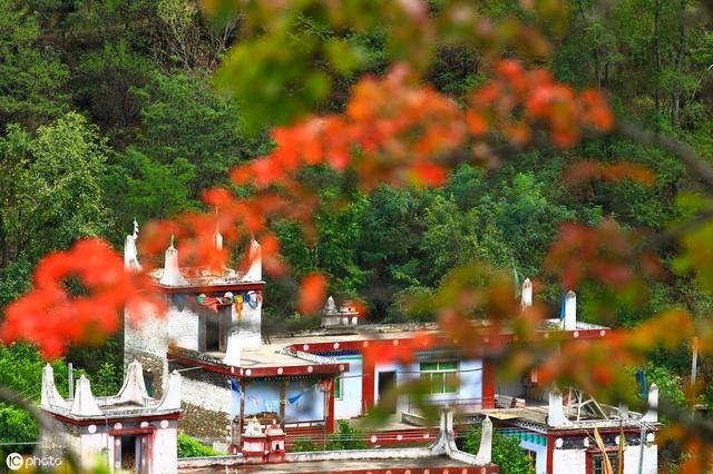 属鼠今天运气好吗，属鼠人今日财运