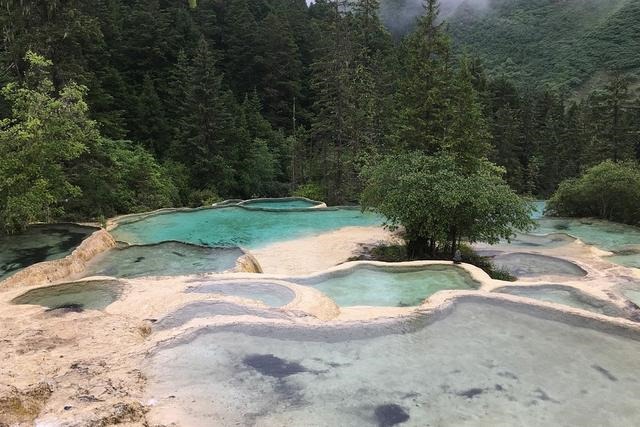 牛年的运势怎么样2022，2022年牛年运势