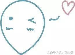 辛亥月是什么命，丁亥年辛亥月命运