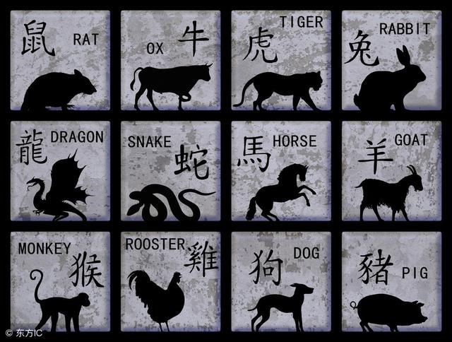 987男兔1990女马婚姻，属马的过了31岁就顺了"