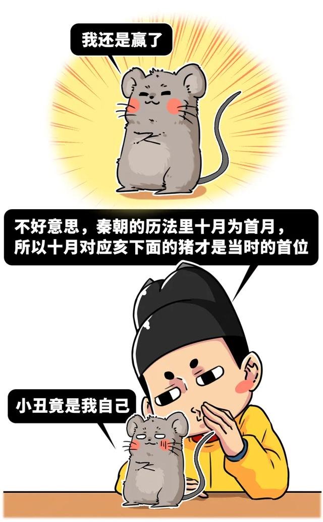 十二生肖开三数是什么意思，三数打一生肖