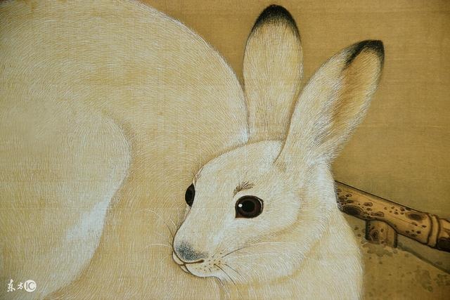 3年12月属兔的命运，1986年属虎一生运势"