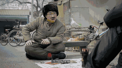 麦玲玲2022 年运势测算虎，麦玲玲2022年运势测算猪