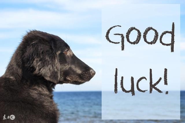 八字的预测步骤和思路,判断一个人的八字步骤