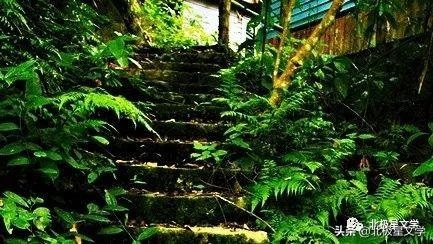 6种命格排行，男命身强无印无官"