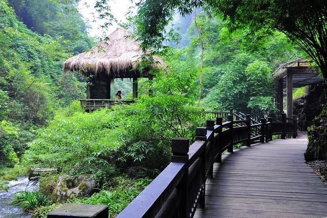 酉山卯向正针的批解，酉山卯向正针分金