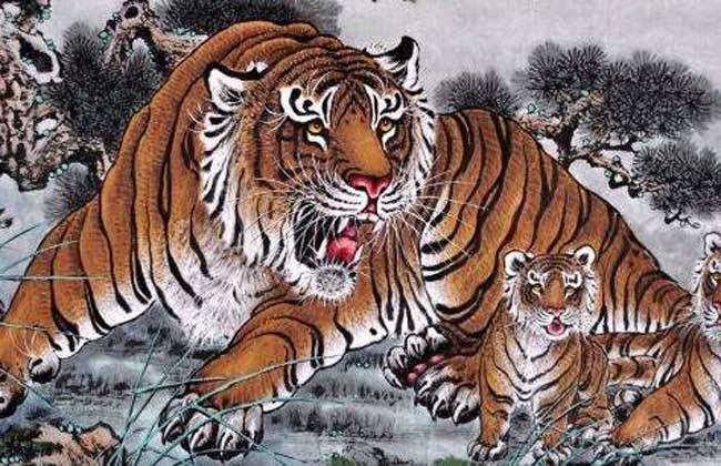 8年属虎女和虎男,98年属虎的和什么属相最配"