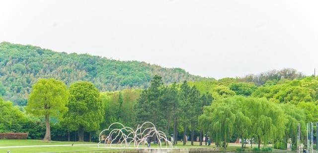 牛宝宝正月出生五行缺什么，牛宝宝取名大全2022 款