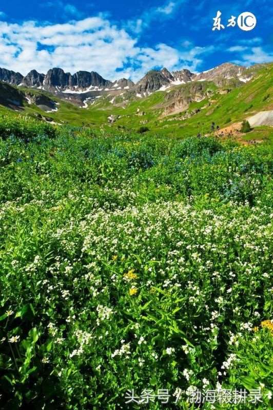 生辰八字能改吗,生辰八字查询免费
