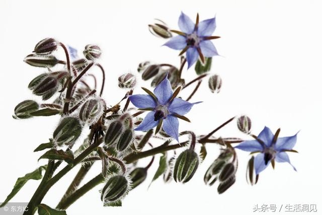 怎么看命好不好，怎么查自己的面相