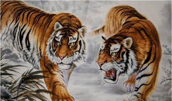 8年属虎女和虎男,98年属虎的和什么属相最配"