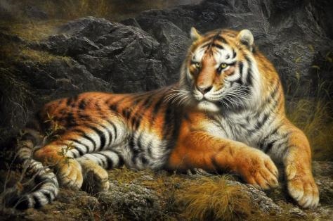 974属虎人2022年运势,2022虎人全年运势1974"