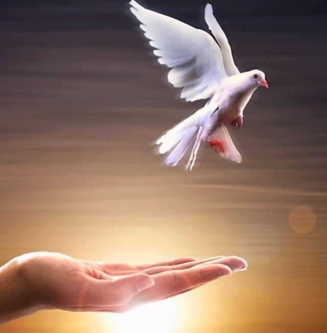 算今年事业工作运势，2022 年事业单位岗位设置方案