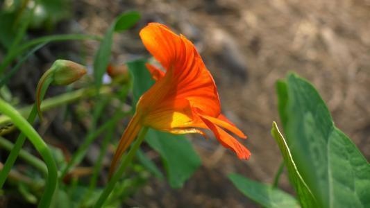 022年最糟糕的生肖女，2022年发横财的生肖"