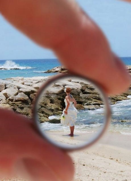 属猴人哪年结婚更佳，十二生肖结婚大利月