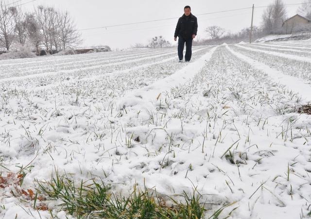 壬戌年是什么时间，十二干支对应时间