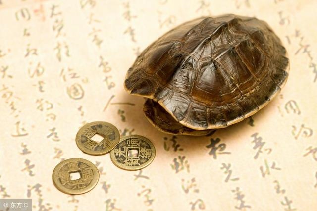 戊戌年五行属什么命，己亥年五行属什么