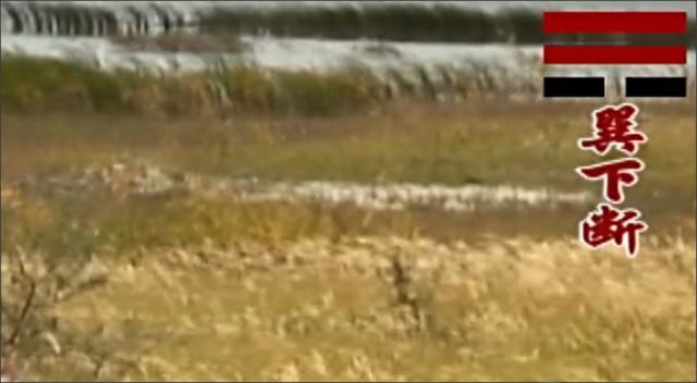 八卦顺口溜大全，八卦八个字怎么读