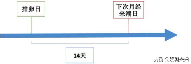 生男孩的更佳受孕时间表，生男孩的秘方和偏方