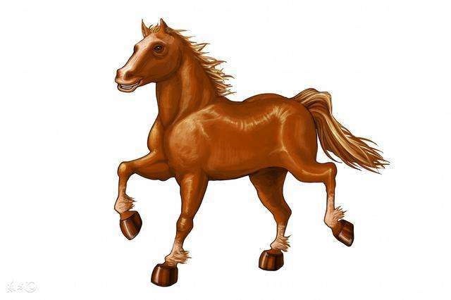 属马人2022 年下半年运势，1978年属马人2022 年下半年运势