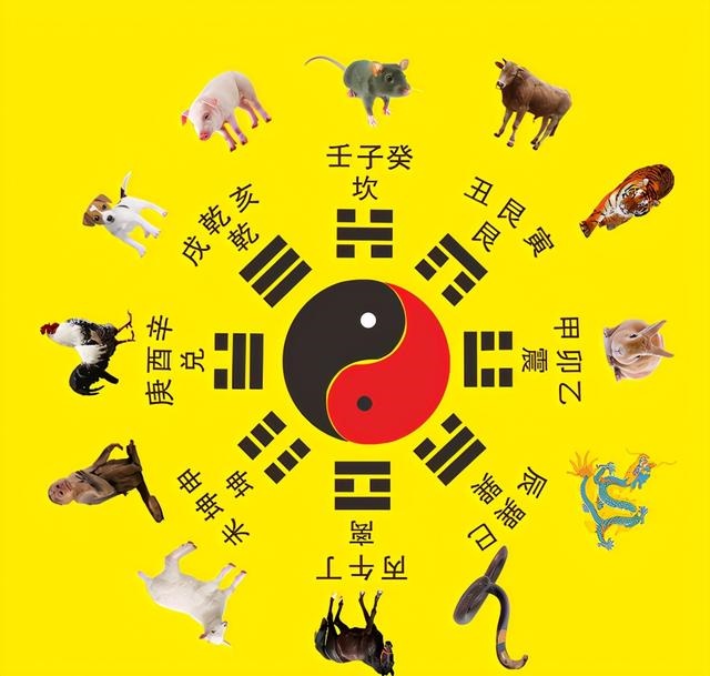 庚寅是什么生肖，庚寅时是代表什么生肖