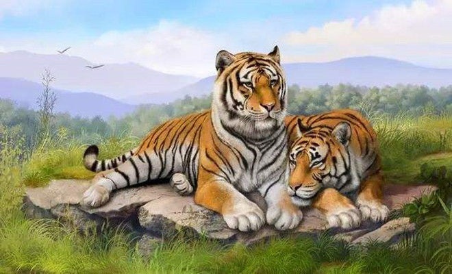 8年男属虎婚姻早迟，1998属虎哪年结婚更好"