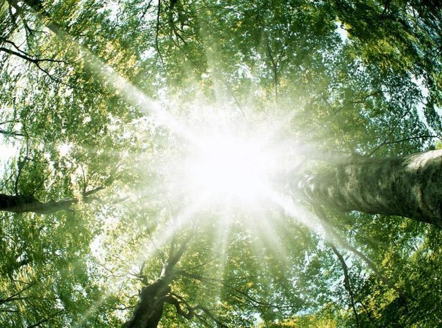 辛丑年五行属什么，戊辰年五行属什么