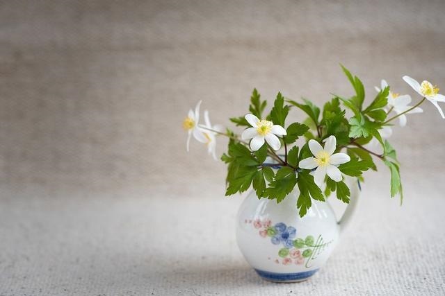 022年牛的运势及运程,属牛人2022年全年运势"