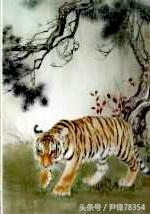 寅虎五行属什么的，寅五行属什么