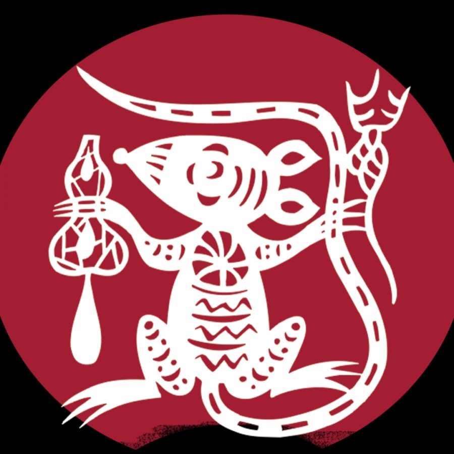 庚子土是什么生肖，亥是什么生肖