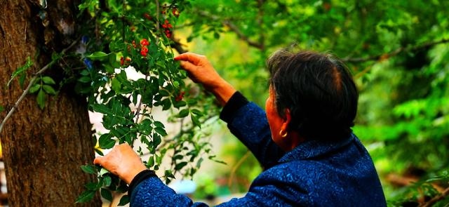 清朝戊子年是哪一年，民国戊子年是一九几年