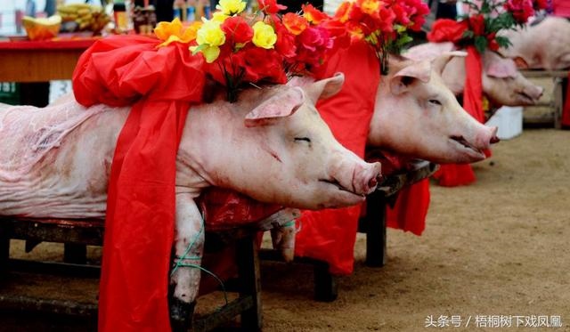 已亥月是什么月，己亥年是什么意思