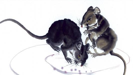 0出生属猴女财运，1980属猴女一生事业怎么样"