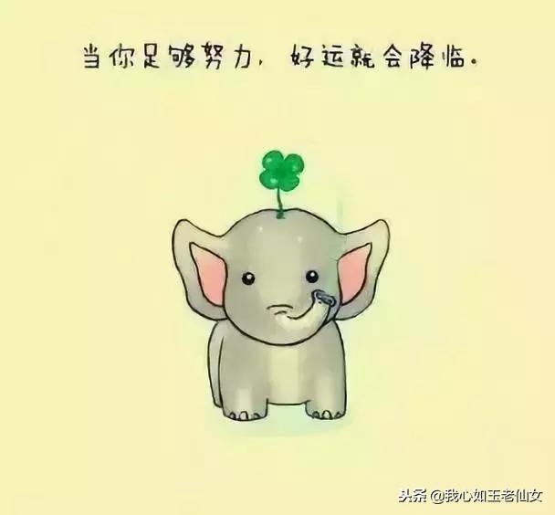 八字特殊格局免费查询，免费八字格局精批