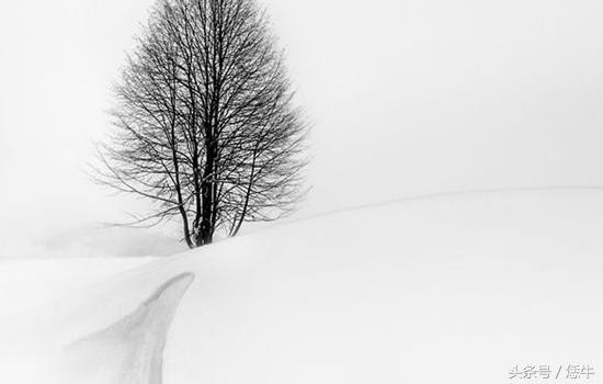 万年黄历黄道吉日吉时，老黄历吉日查询2022 年