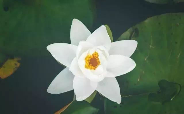 免费测另一半出现时间系统，免费测另一半出现时间